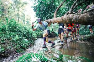 BIB: 
                            <button type="button" onclick="openModal(25454599)" class="btn btn-primary btn-sm float-right btn-popup" data-toggle="modal" data-target=".modal-high-quality">
                        <i class="fas fa-shopping-cart"></i> Add to Cart
                    </button>
                                            <button type="button" onclick="isThisMe(25454599, true)" class="btn btn-success btn-sm float-right btn-popup btn-isme hidden" data-toggle="tooltip" data-placement="bottom" title="นี่คือรูปของคุณใช่ไหม คลิกที่นี่เพื่อเอาเข้าอัลบั้ม">
                        <i class="fas fa-plus"></i> Add to album
                    </button>
                    <button type="button" onclick="isThisMe(25454599, false)" class="btn btn-warning btn-sm float-right btn-popup btn-isnotme hidden">
                        <i class="fas fa-ban"></i> Remove from album
                    </button>